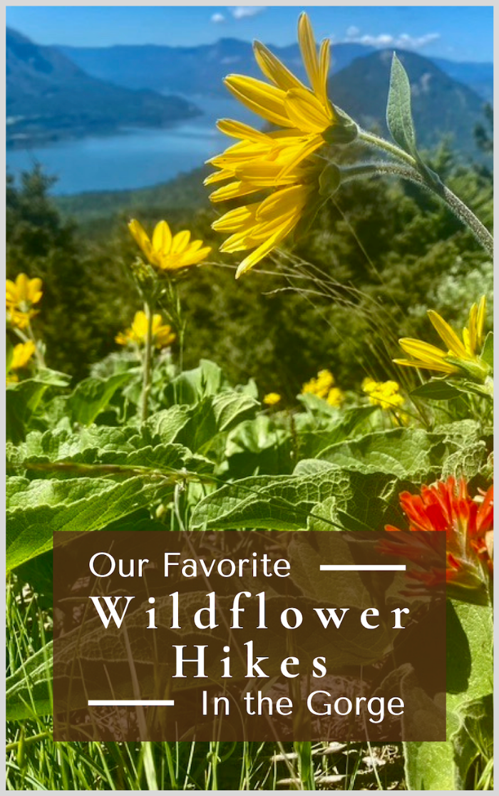 The cover of an e-guide created by lilbird creative.